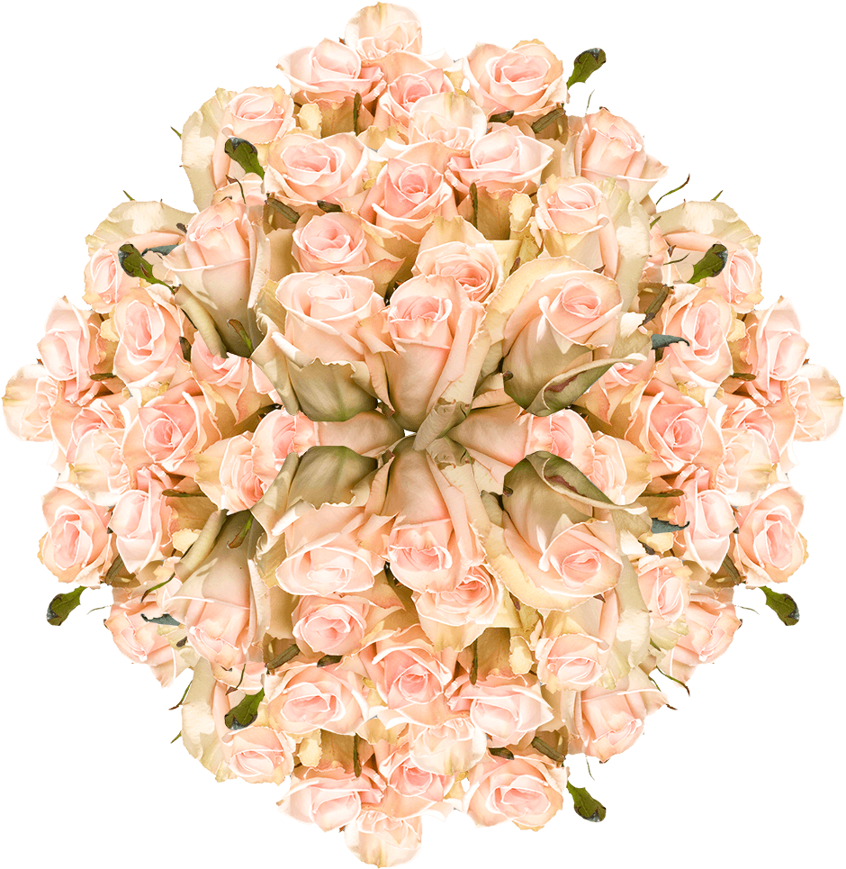 Elegant Pink Roses Bouquet PNG