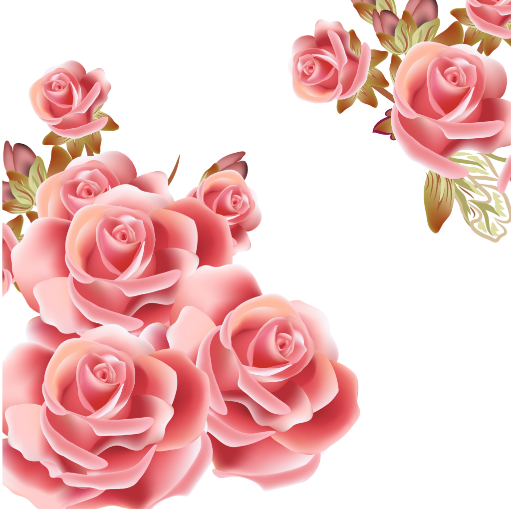 Elegant Pink Roses Cluster PNG