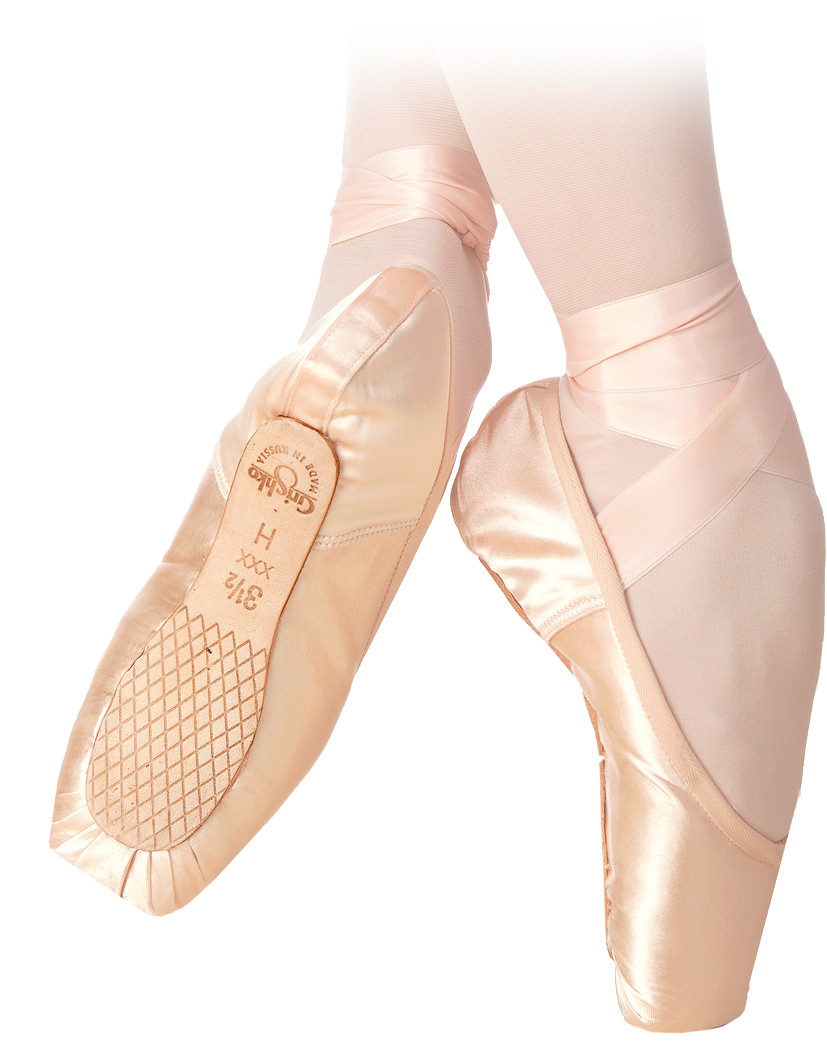 Elegant Pointe Shoesin Use SVG