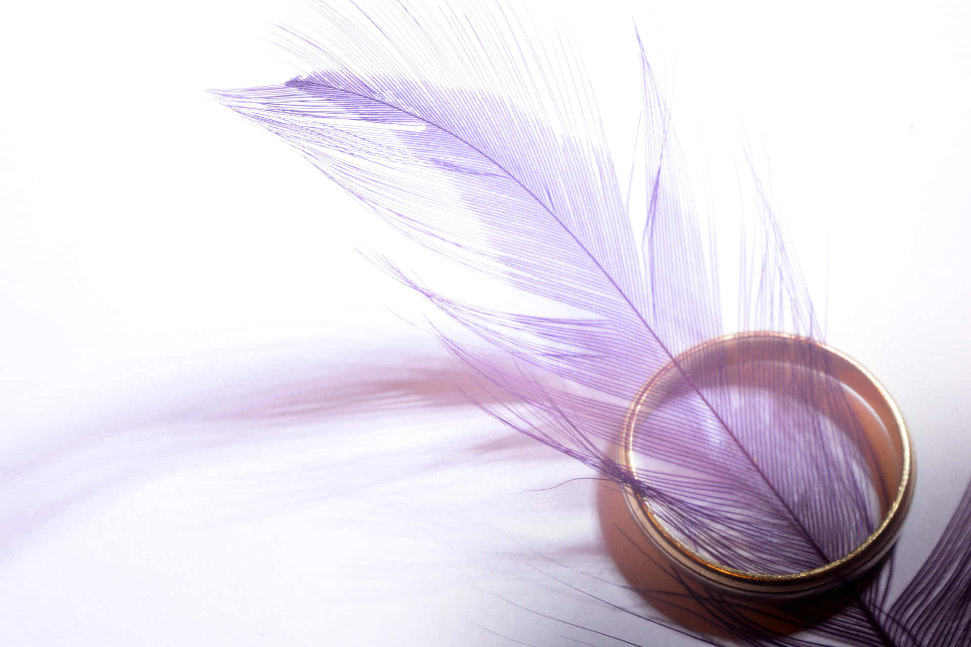 Elegant Purple Featherand Ring Wallpaper