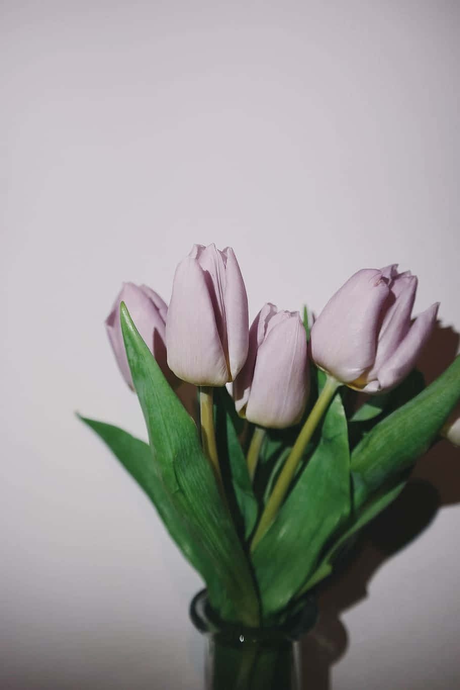 Elegant Purple Tulipsin Vase Wallpaper