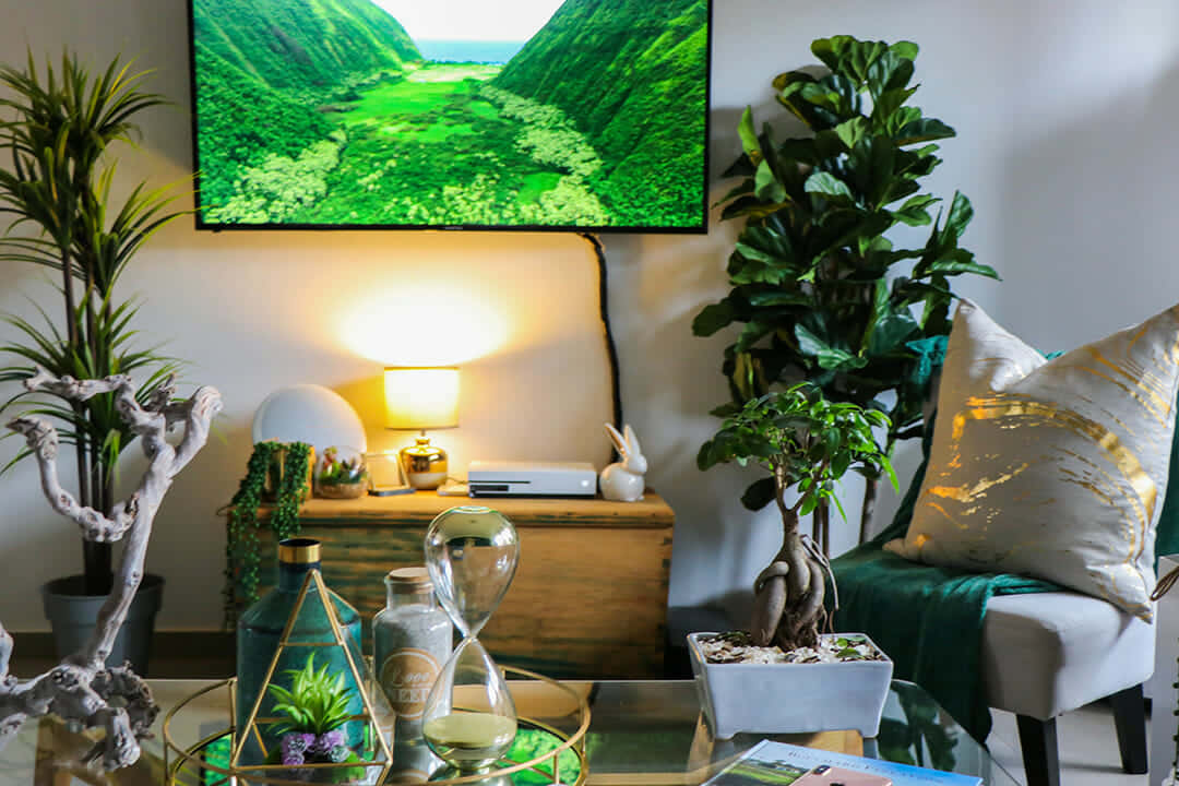 A Living Room With A Tv And A Few Plants