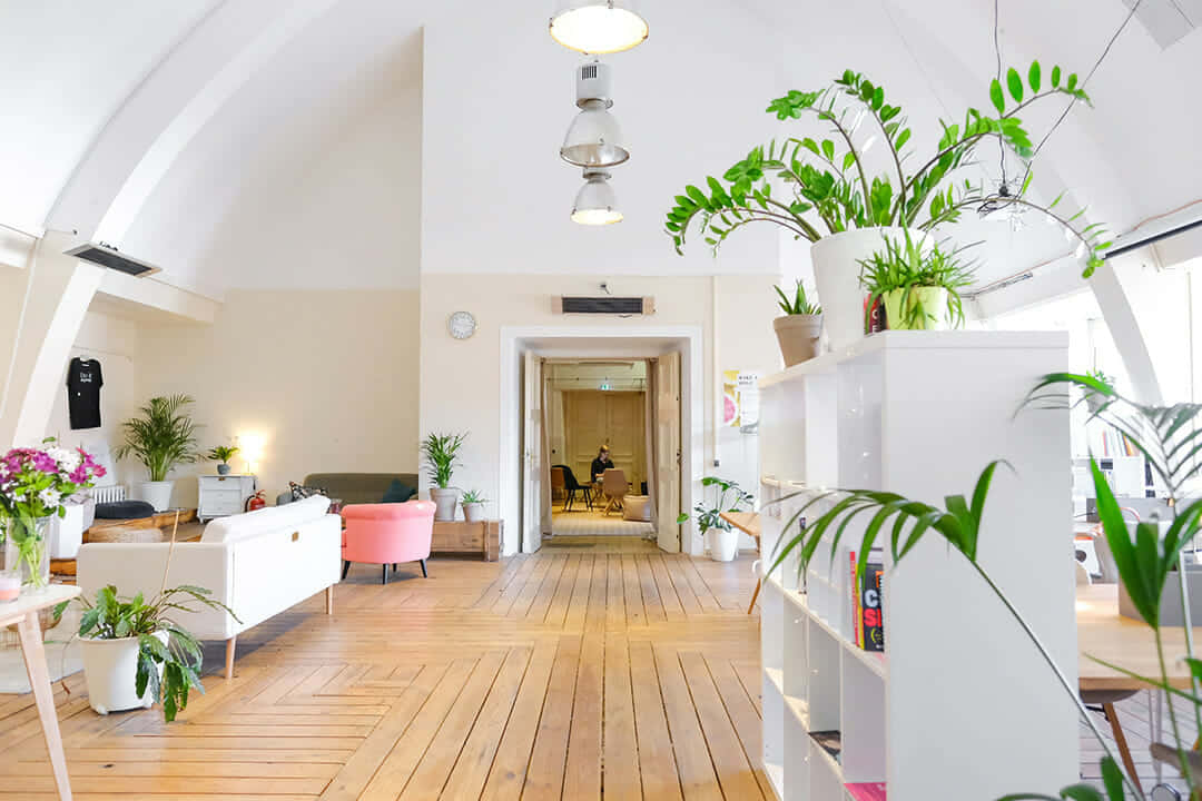 A Room With A Lot Of Plants And A Wooden Floor