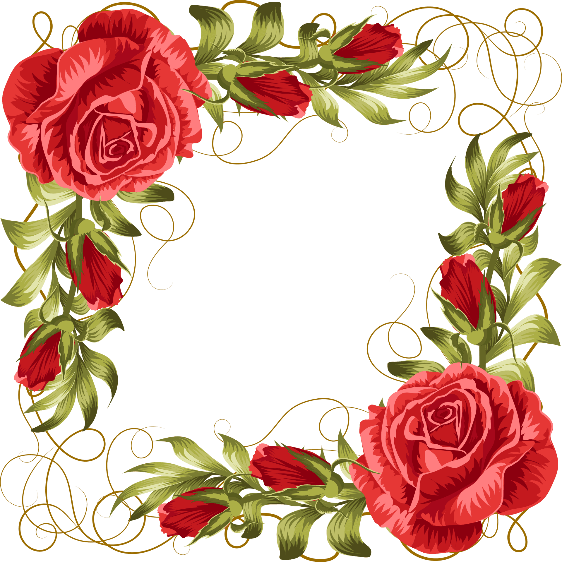 Elegant Red Rose Floral Frame PNG