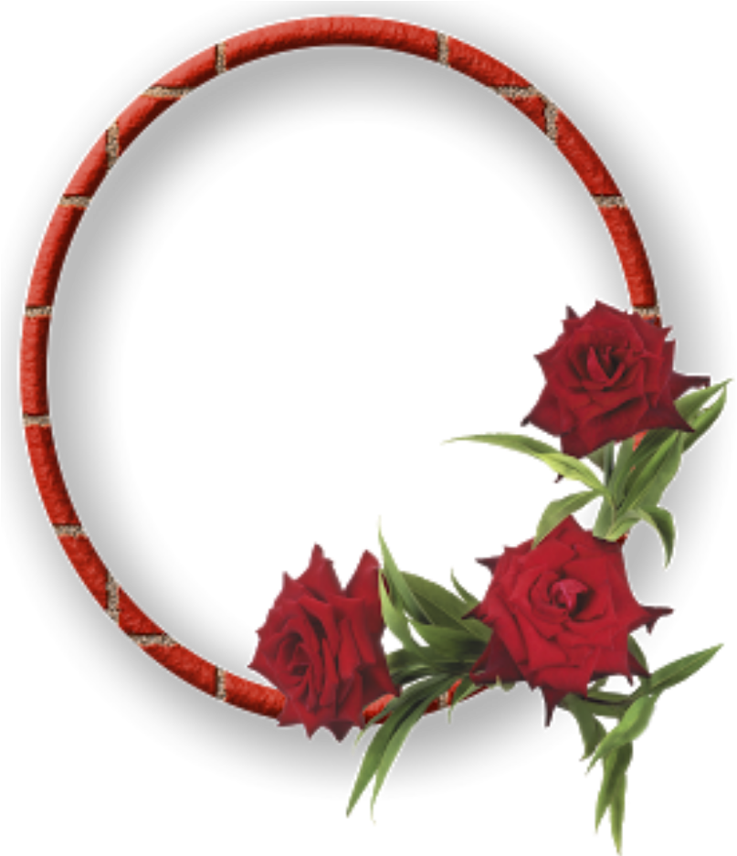 Elegant Red Rose Frame PNG