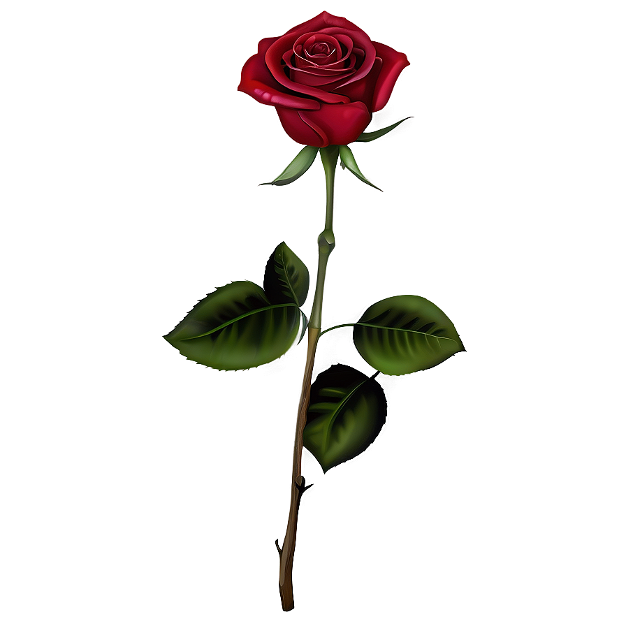 Download Elegant Red Rose Png Ifh 