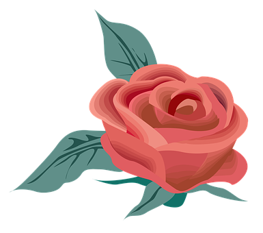 Elegant Red Rose Vector Art PNG
