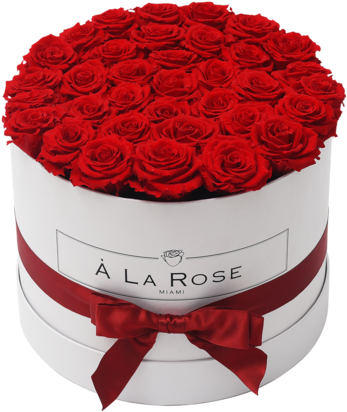 Elegant Red Roses Birthday Bouquet PNG