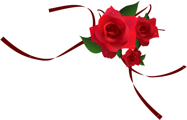 Elegant Red Roses Transparent Background PNG