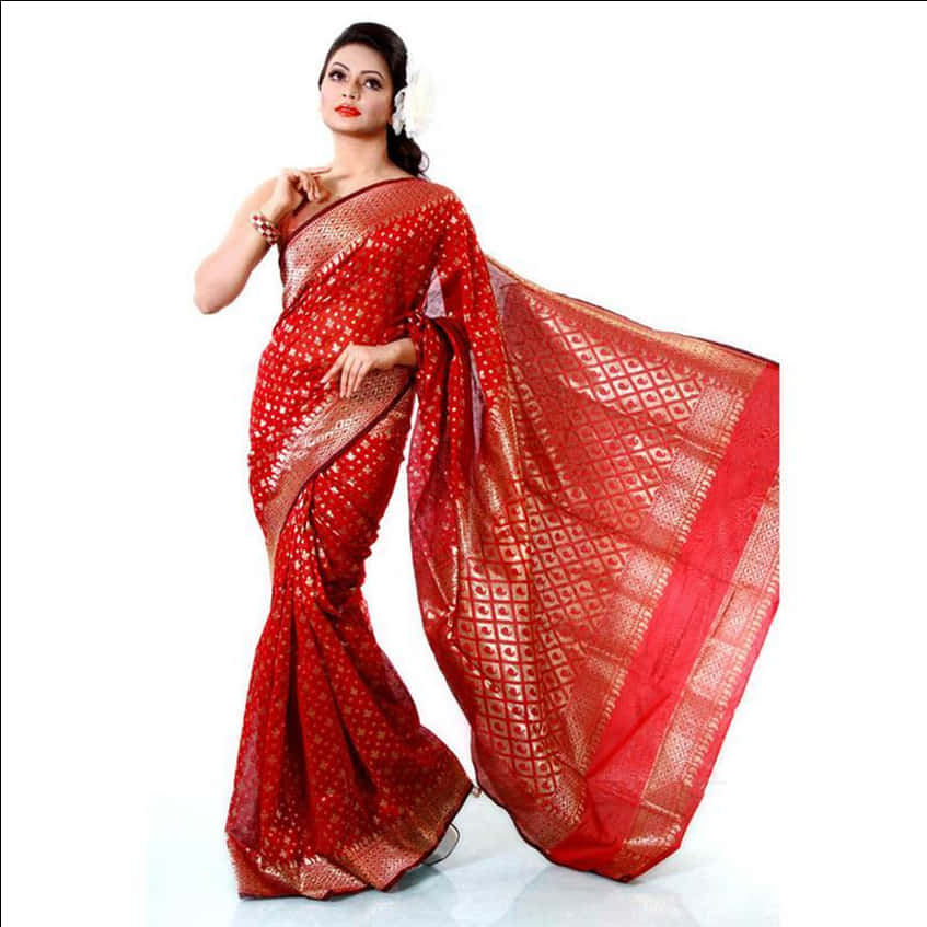 Elegant Red Silk Saree Model Pose PNG