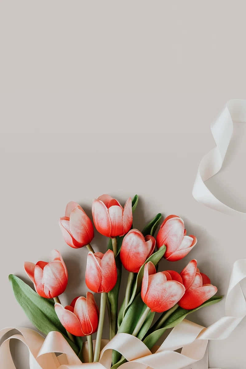 Elegant Red Tulips Ribbon Accent Wallpaper