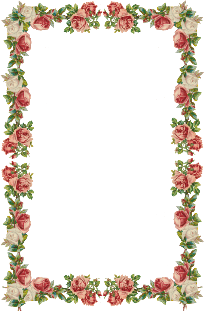 Elegant Rose Border Vector Design PNG