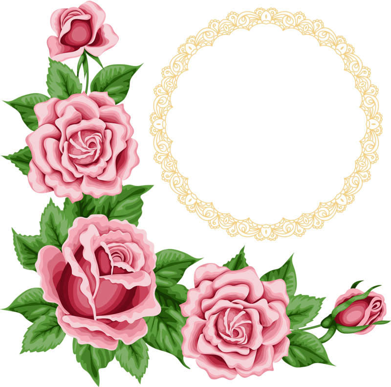 Elegant Rose Corner Border Design PNG