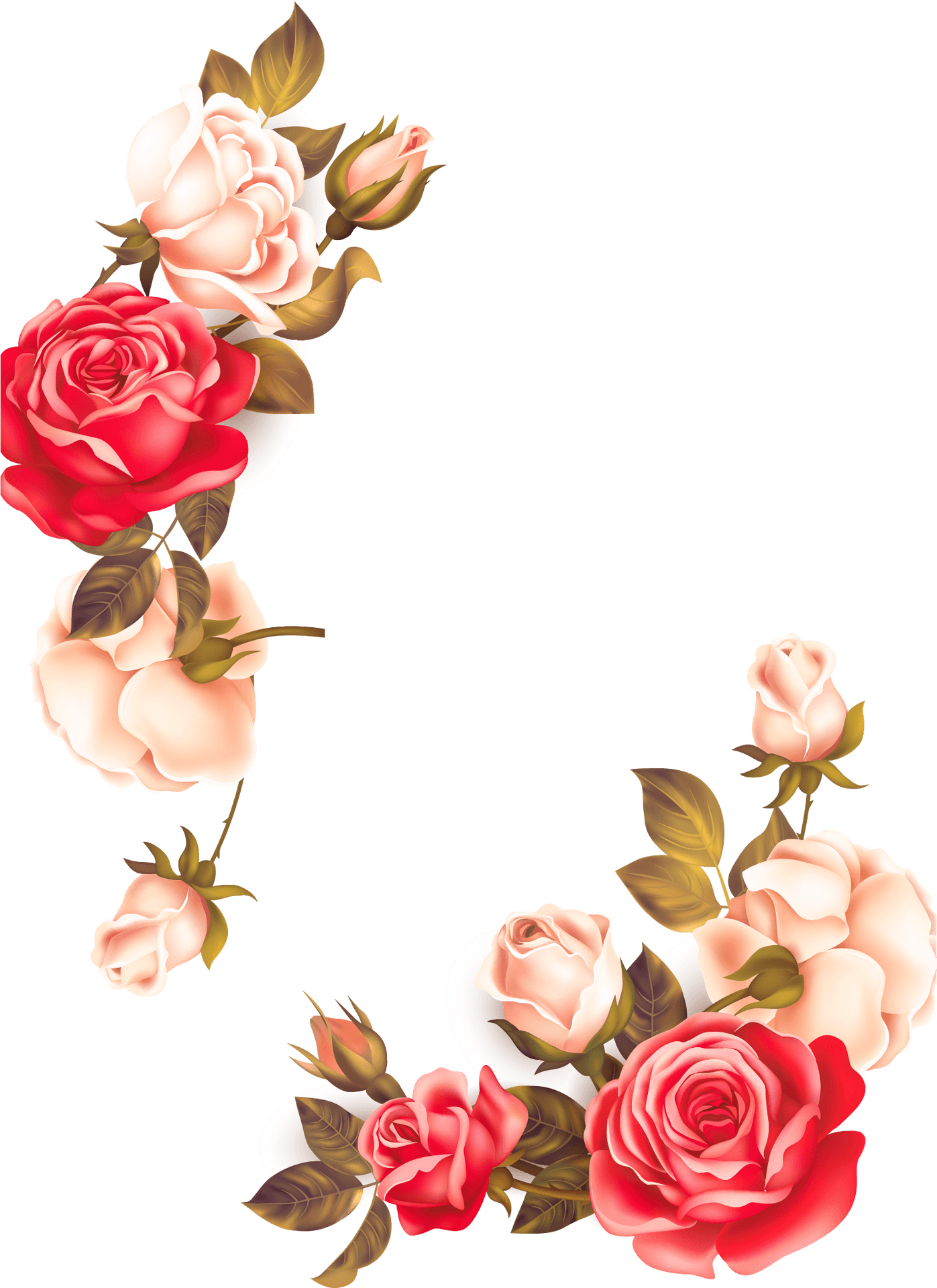 Elegant Rose Flower Border PNG