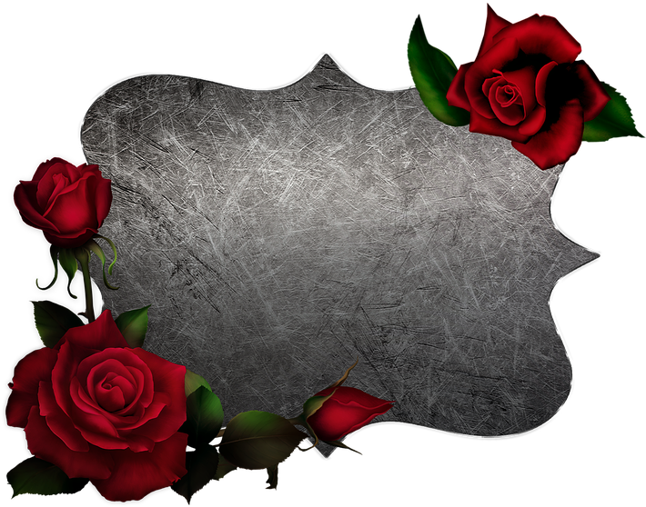 Elegant Rose Frame Design PNG