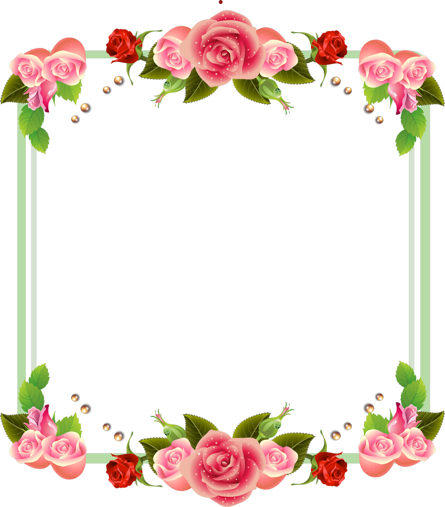 Elegant Rose Frame Design PNG