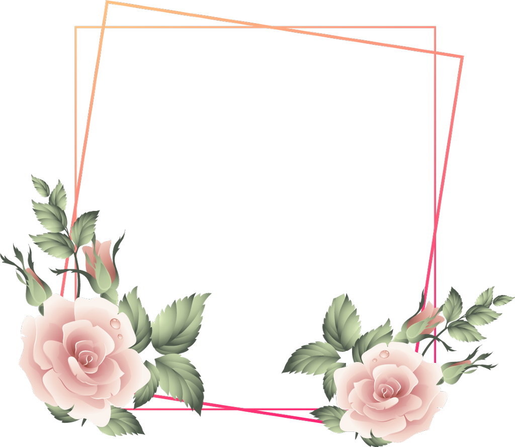 Elegant Rose Frame Design PNG