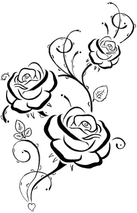 Elegant Rose Line Art PNG
