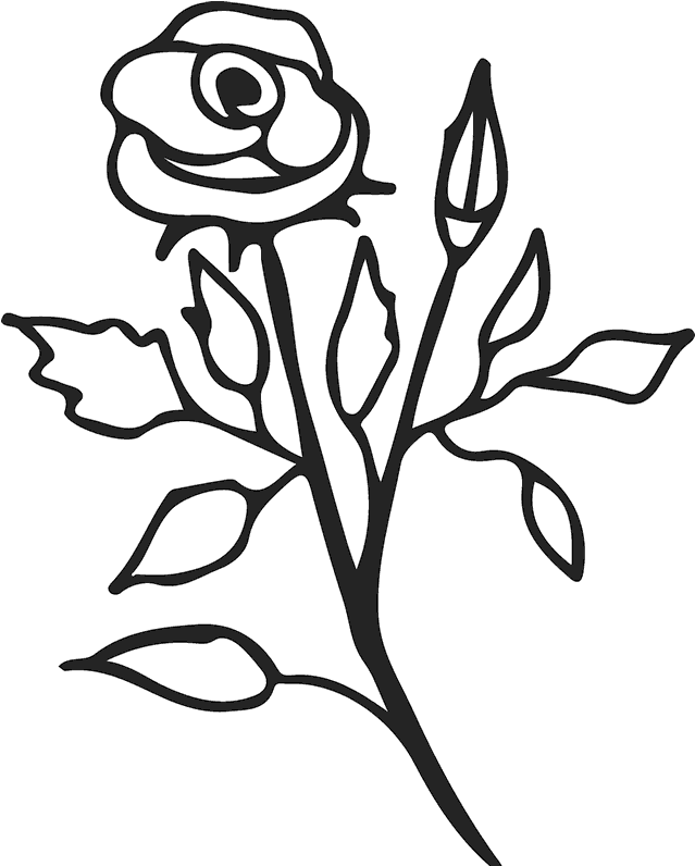 Elegant Rose Outline PNG