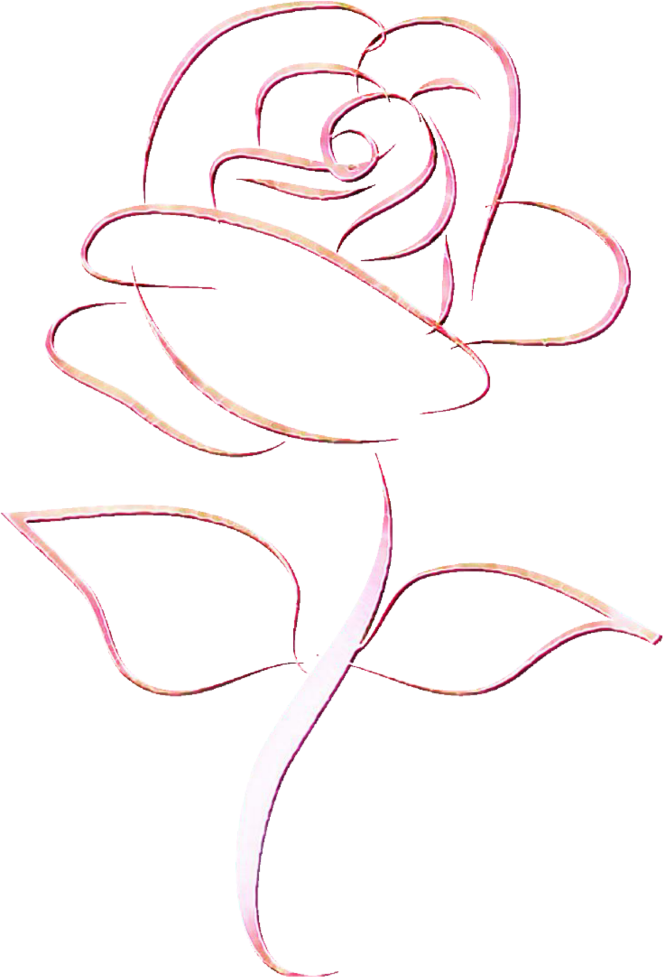 Elegant Rose Outline Art PNG