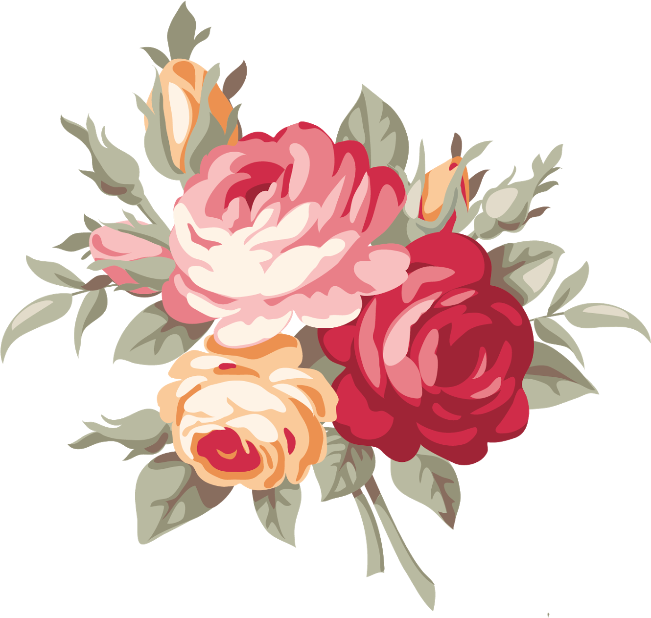 Elegant Rose Vector Illustration PNG