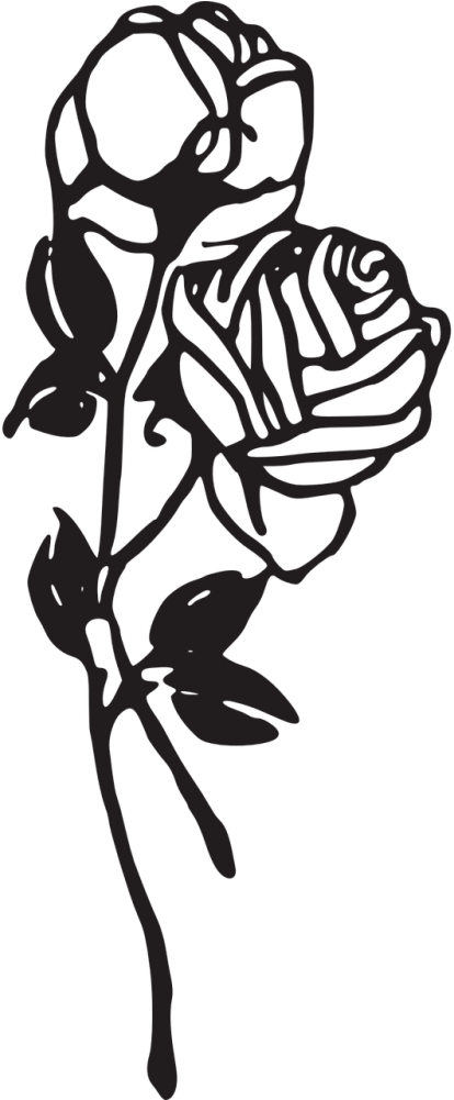 Elegant Rose Vector Silhouette PNG