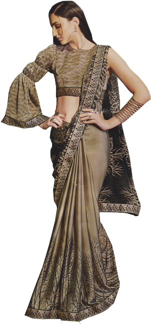 Elegant Saree Model Pose PNG