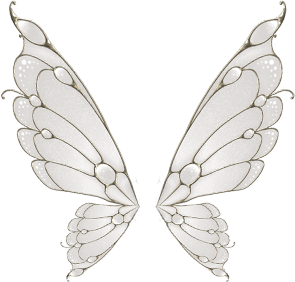 Elegant Silver Fairy Wings PNG