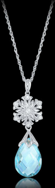 Elegant Snowflake Pendant Necklace PNG