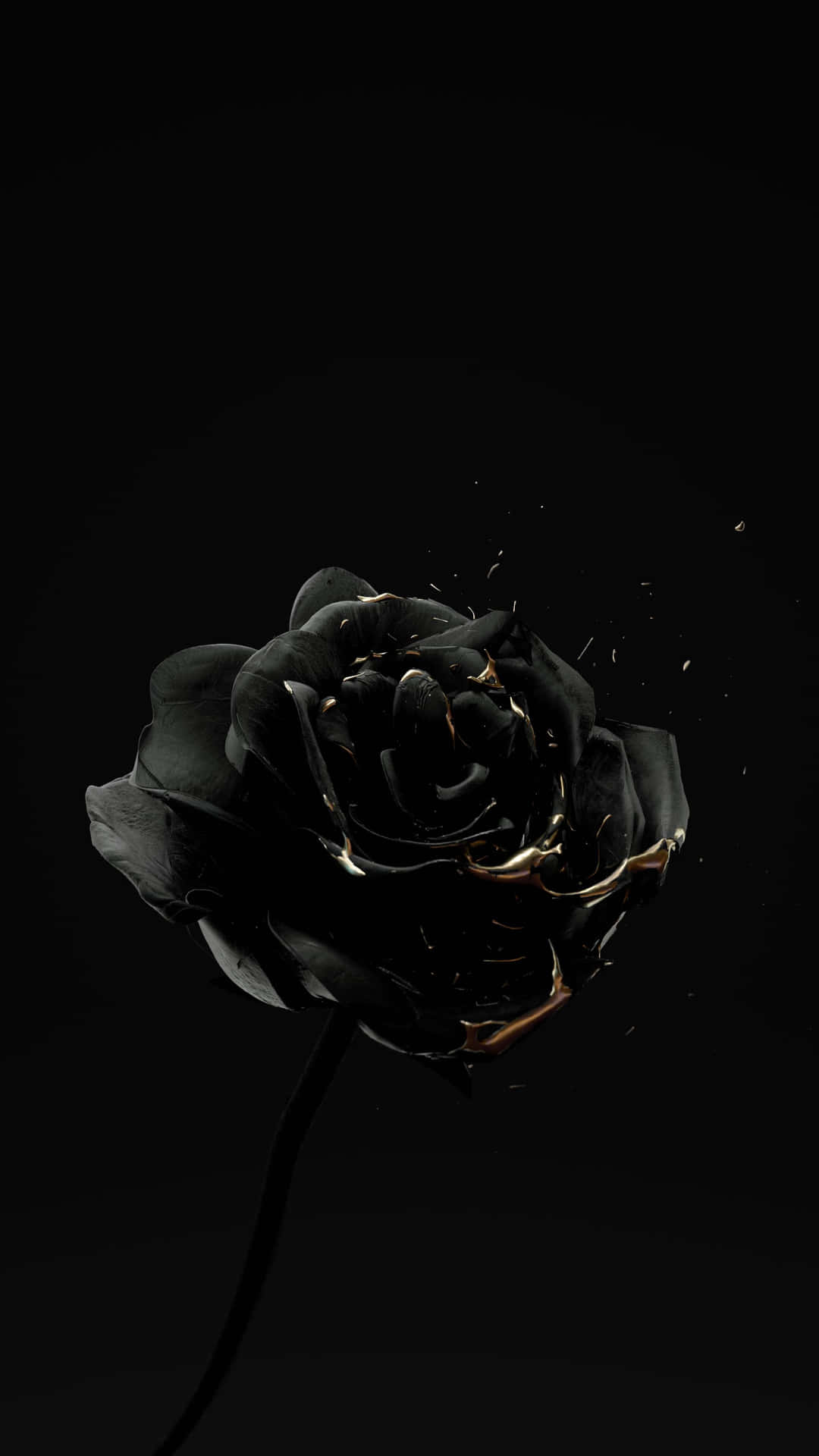 "elegant Solitude: A Single Black Rose In Bloom"
