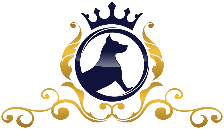Elegant Spa Logo Design PNG