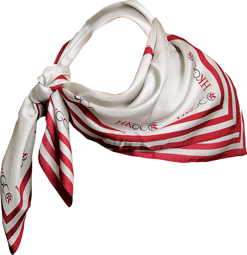 Elegant Striped Scarf PNG