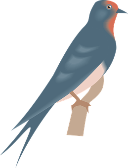 Elegant Swallow Illustration PNG