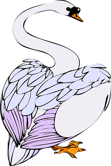 Elegant Swan Illustration PNG
