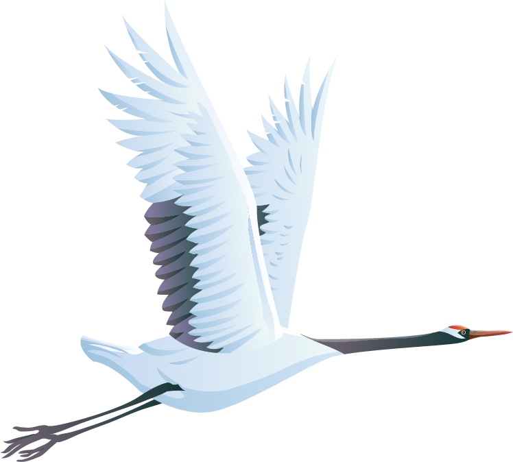 Elegant Swan In Flight PNG