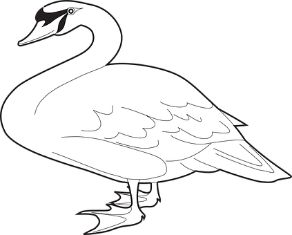 Elegant Swan Silhouette PNG