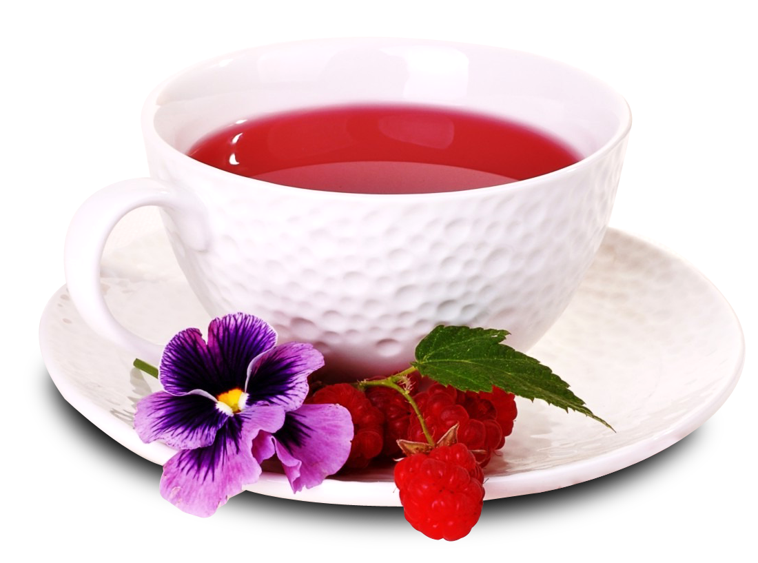 Elegant Tea Cup With Berries And Flower PNG