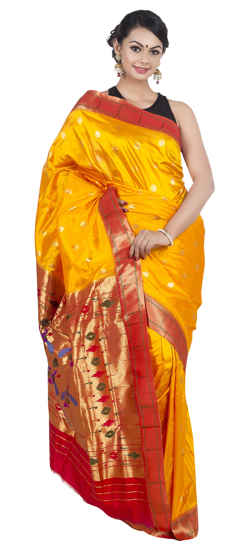 Elegant Traditional Saree Attire PNG