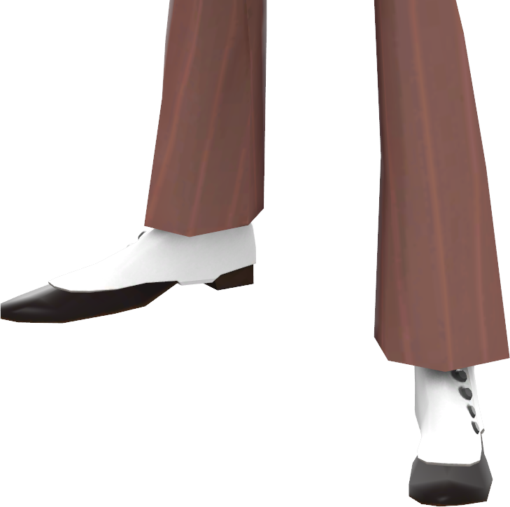 Elegant Two Tone Shoes PNG