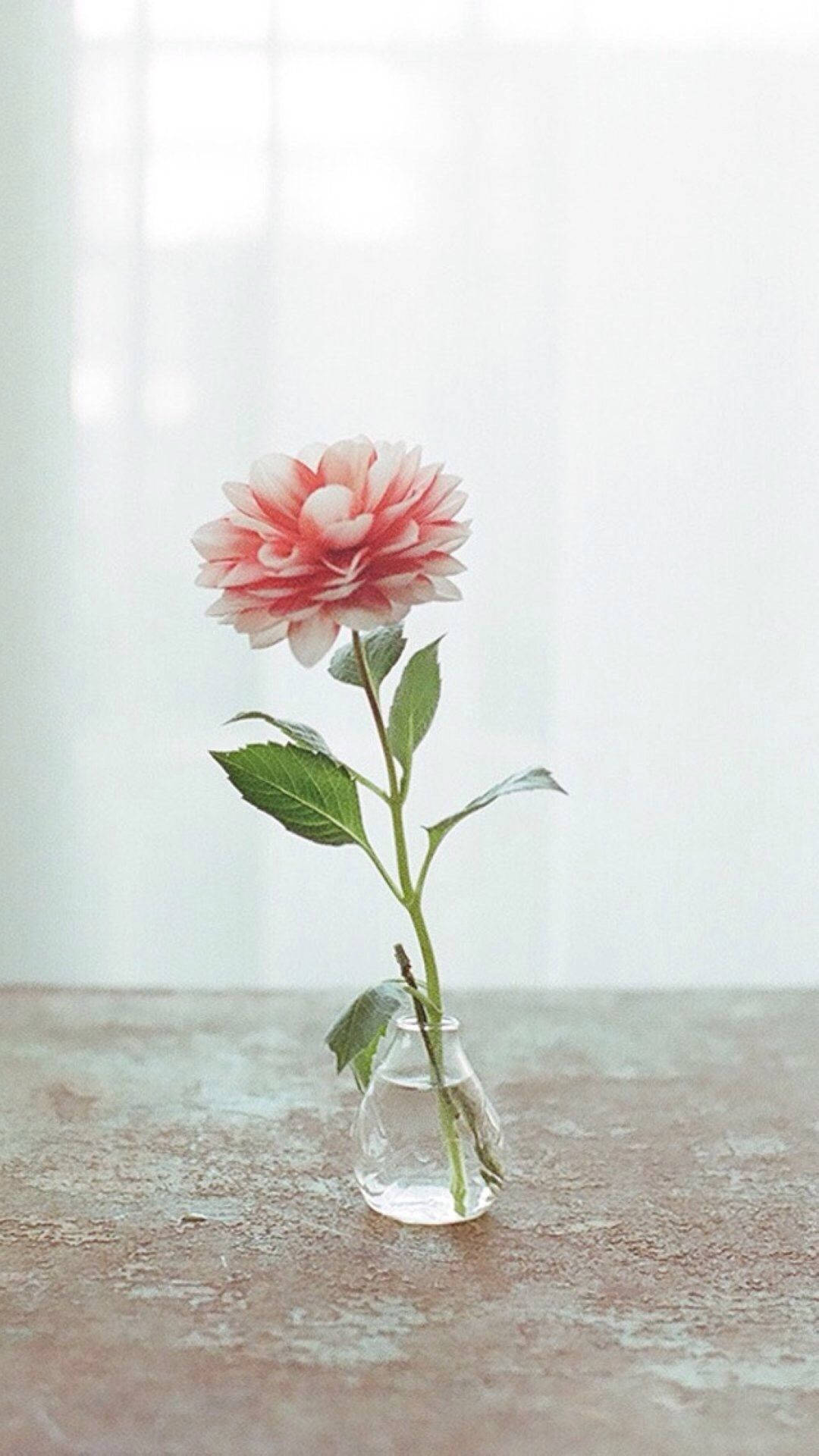 Elegant Vintage Flower Vase Wallpaper