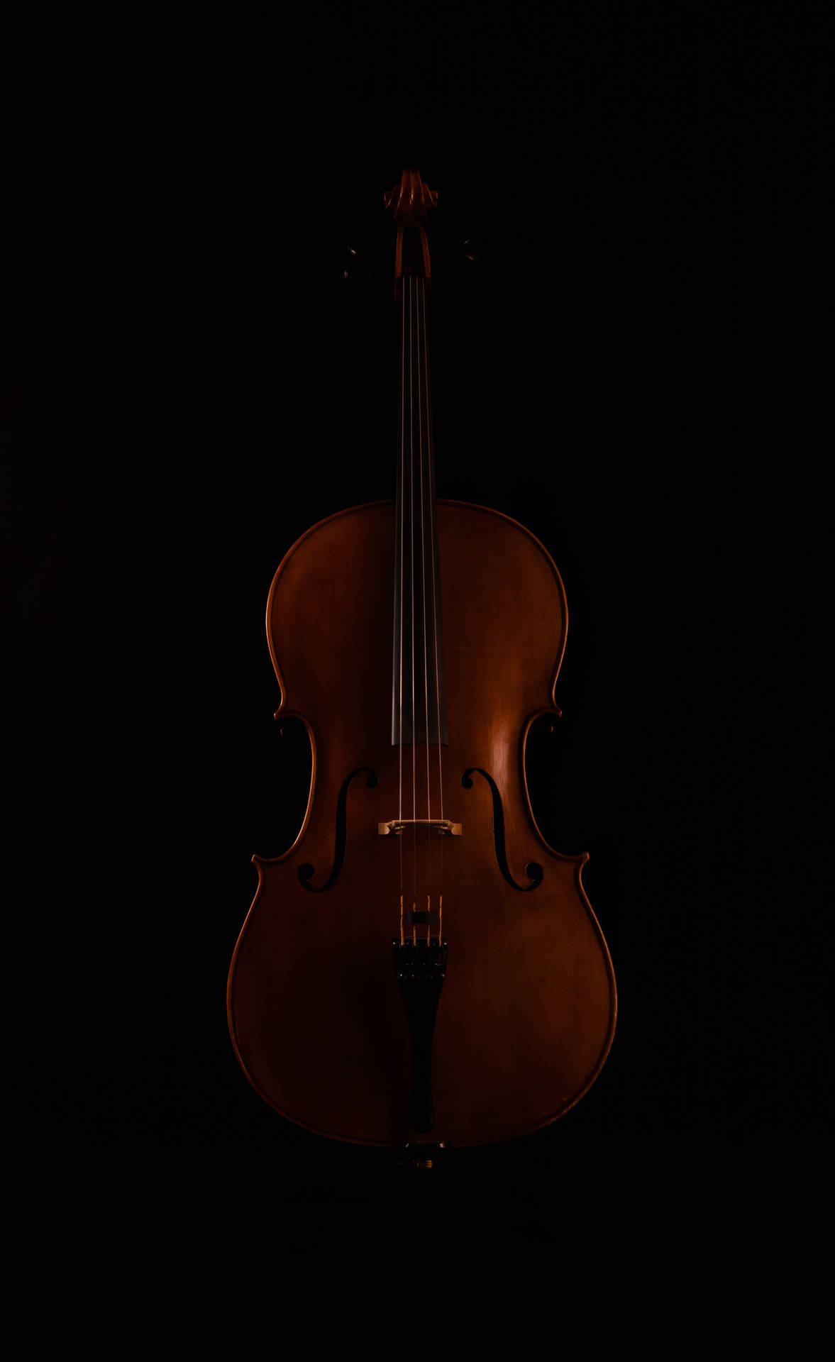 Elegant Violinin Darkness SVG