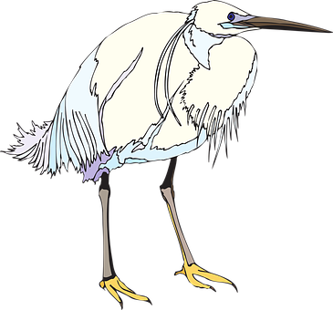 Elegant White Egret Illustration PNG
