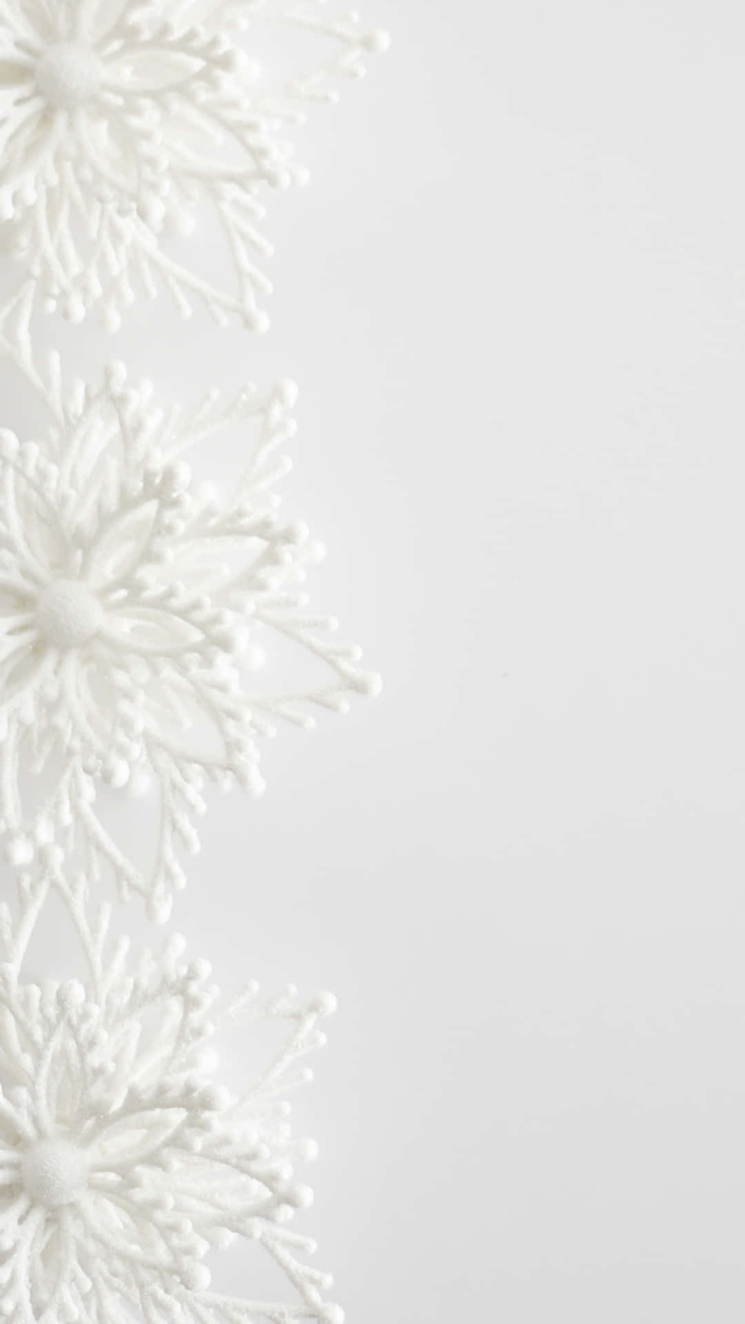 Elegante Witte Bloem Ontwerp Achtergrond