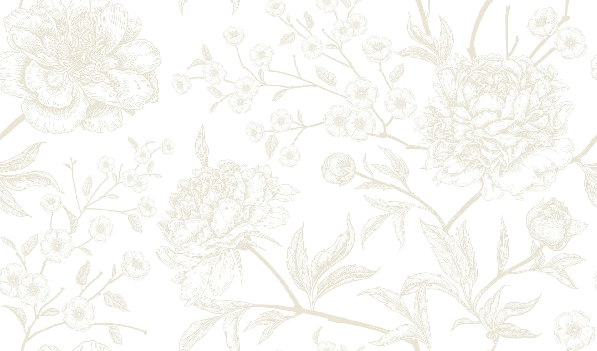 Elegant White Floral Pattern Wallpaper