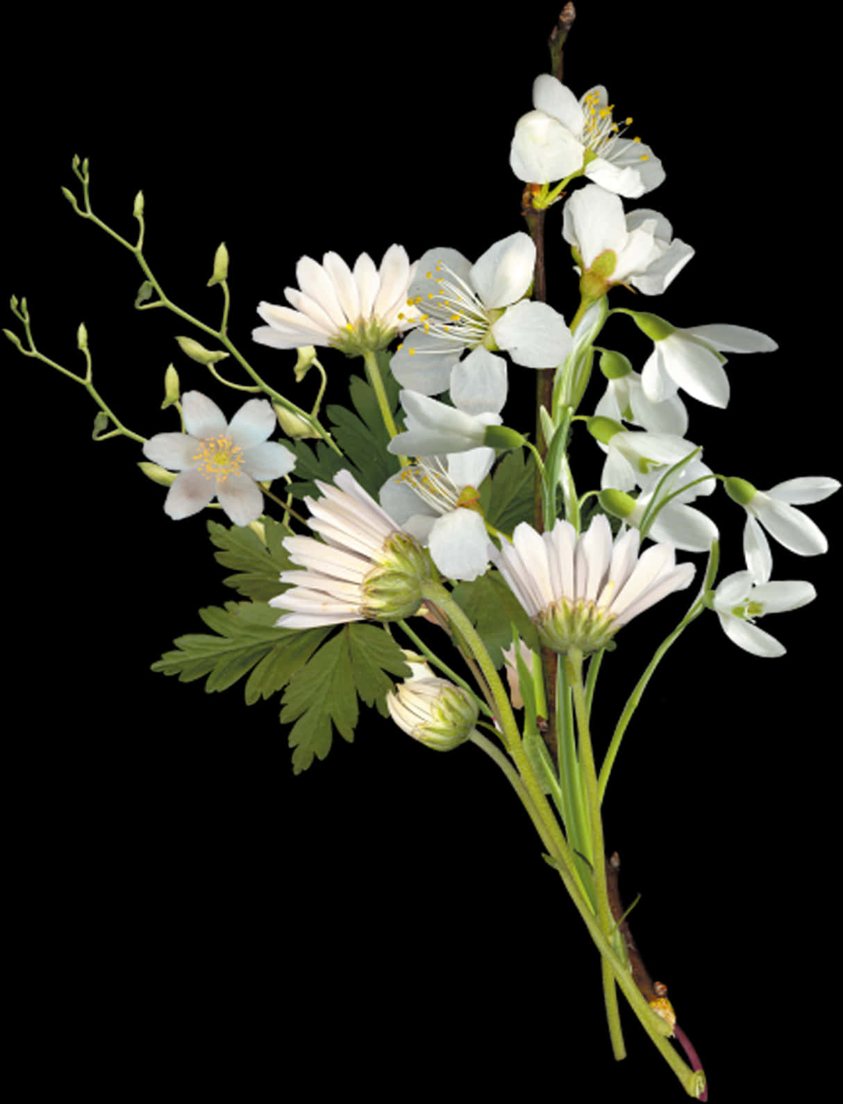 Elegant White Flowers Arrangement PNG