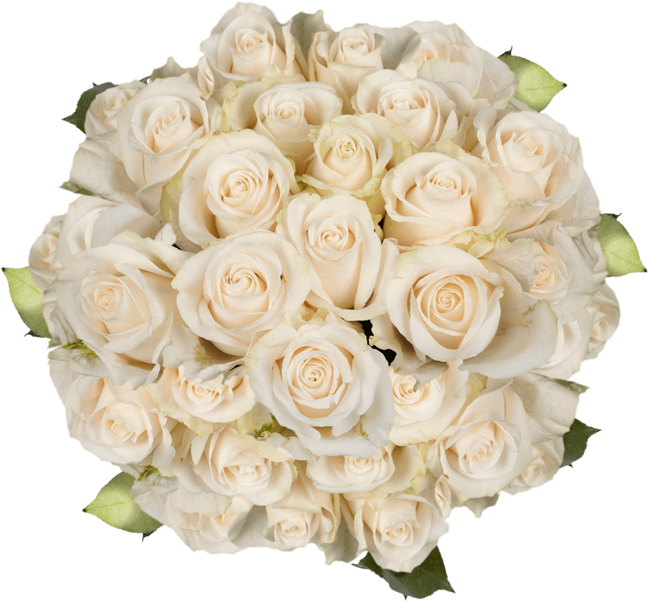 Elegant White Roses Bouquet PNG