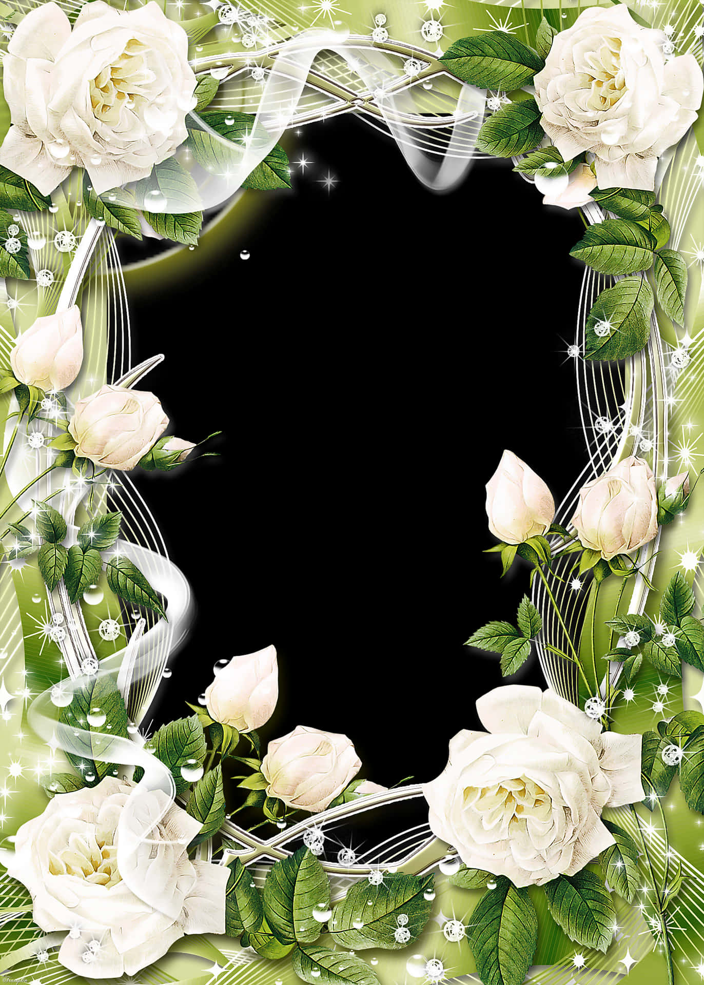 Elegant_ White_ Roses_ Frame PNG