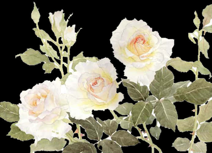 Elegant White Roses Watercolor PNG