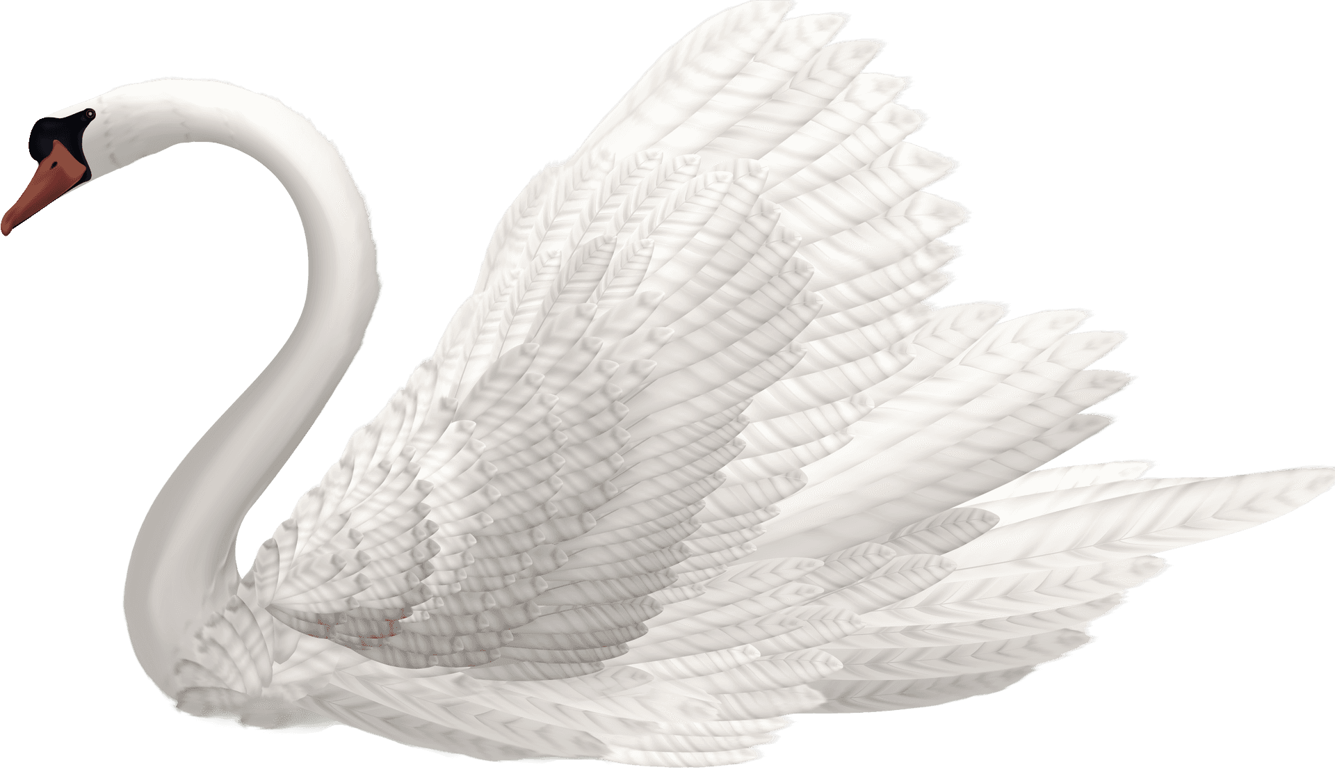 Elegant White Swan PNG