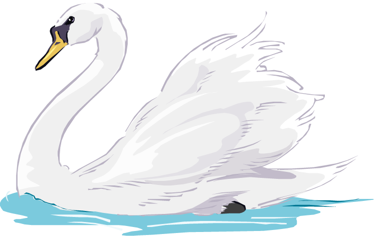 Elegant White Swan Illustration PNG